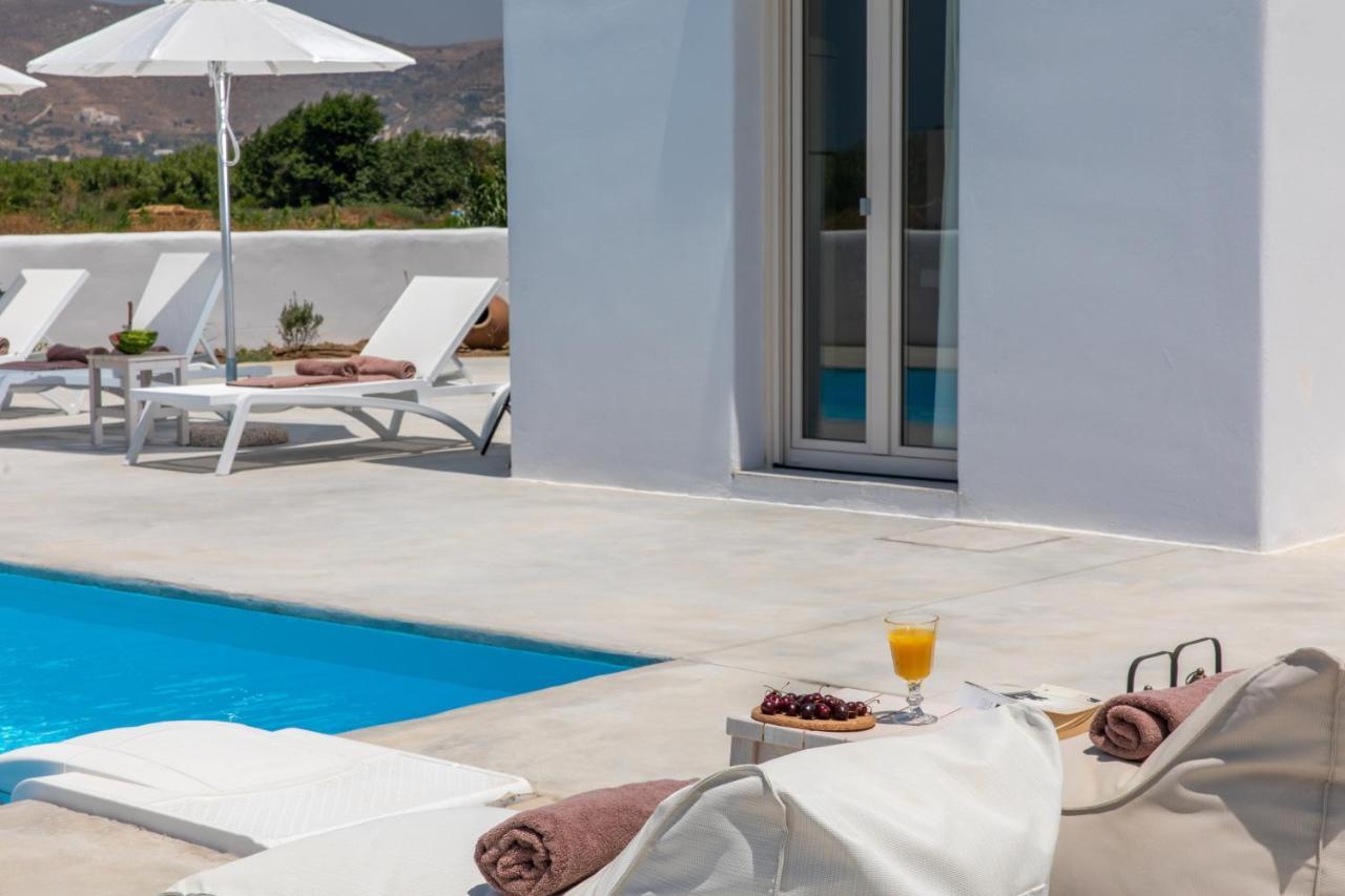 Naxian Lounge Villas Naxos City Exterior foto